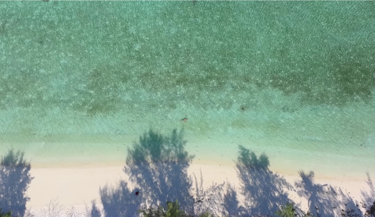 Taka Bonerate Atoll Expedition: Giant Coral Reefs & Baby Shark Lagoons