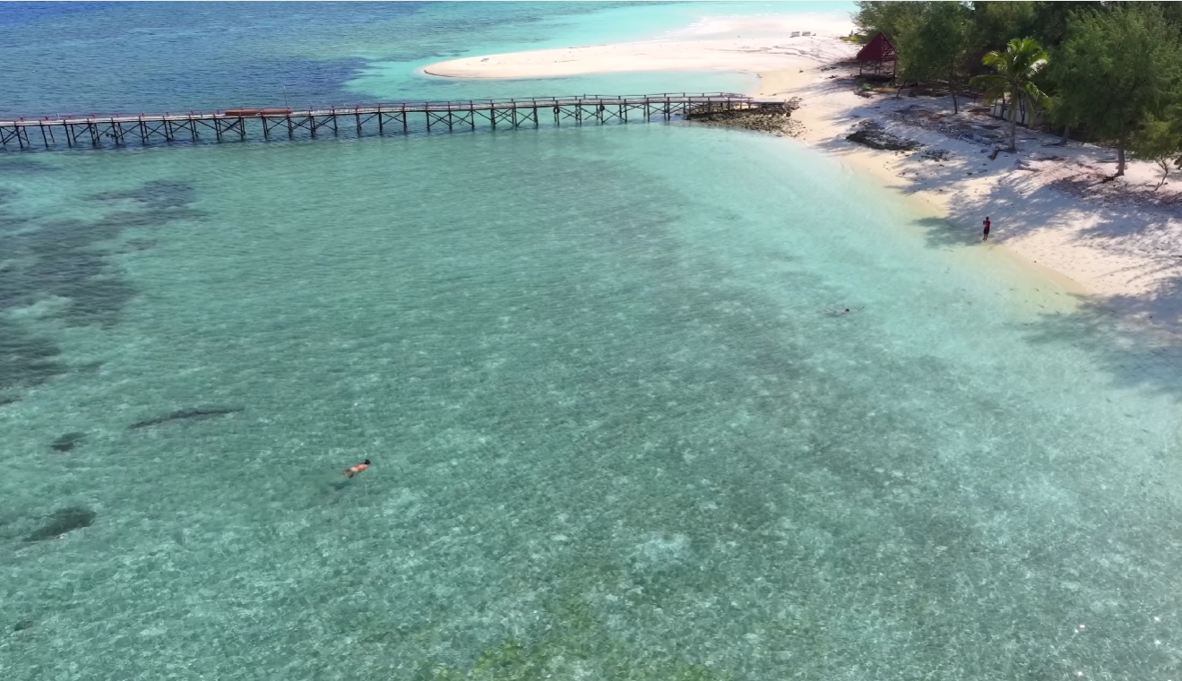 Taka Bonerate Atoll Expedition: Giant Coral Reefs & Baby Shark Lagoons