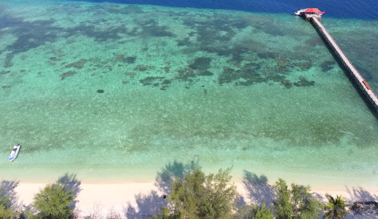 Taka Bonerate Atoll Expedition: Giant Coral Reefs & Baby Shark Lagoons