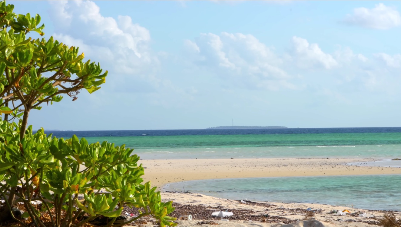 Taka Bonerate Atoll Expedition: Giant Coral Reefs & Baby Shark Lagoons