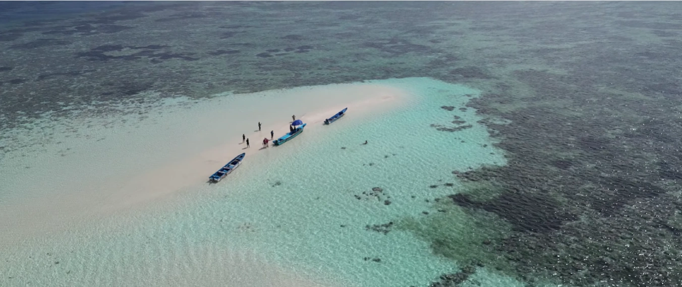 Dive & Snorkel Bunaken: Explore Wrold-Class Coral Walls