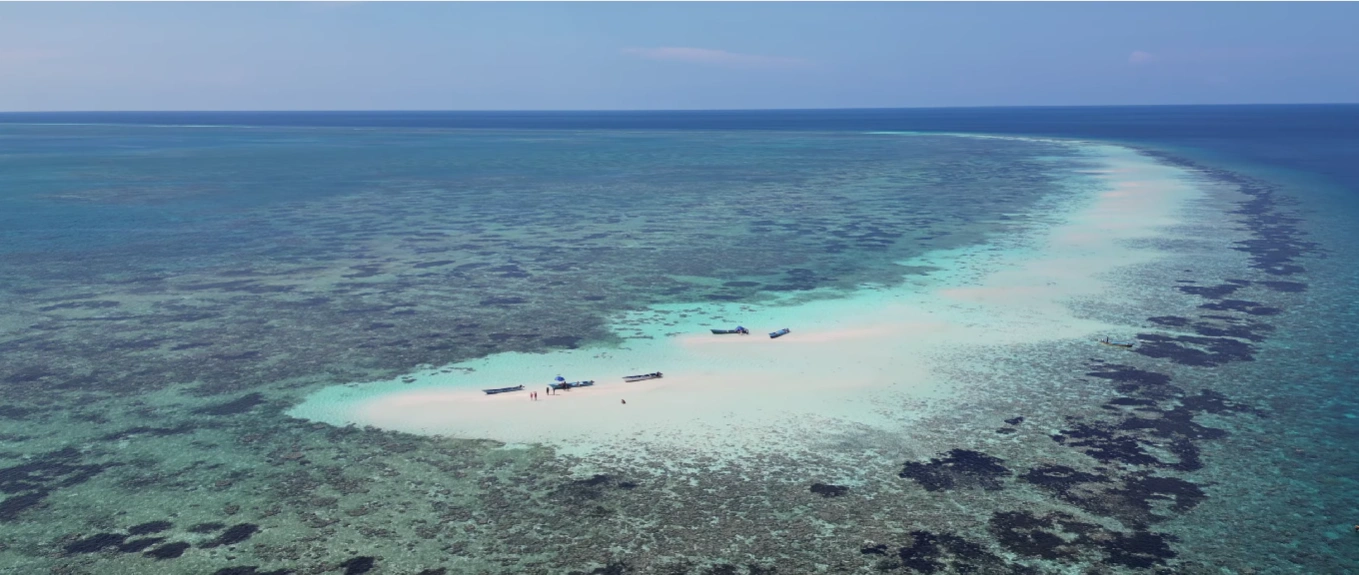 Dive & Snorkel Bunaken: Explore Wrold-Class Coral Walls