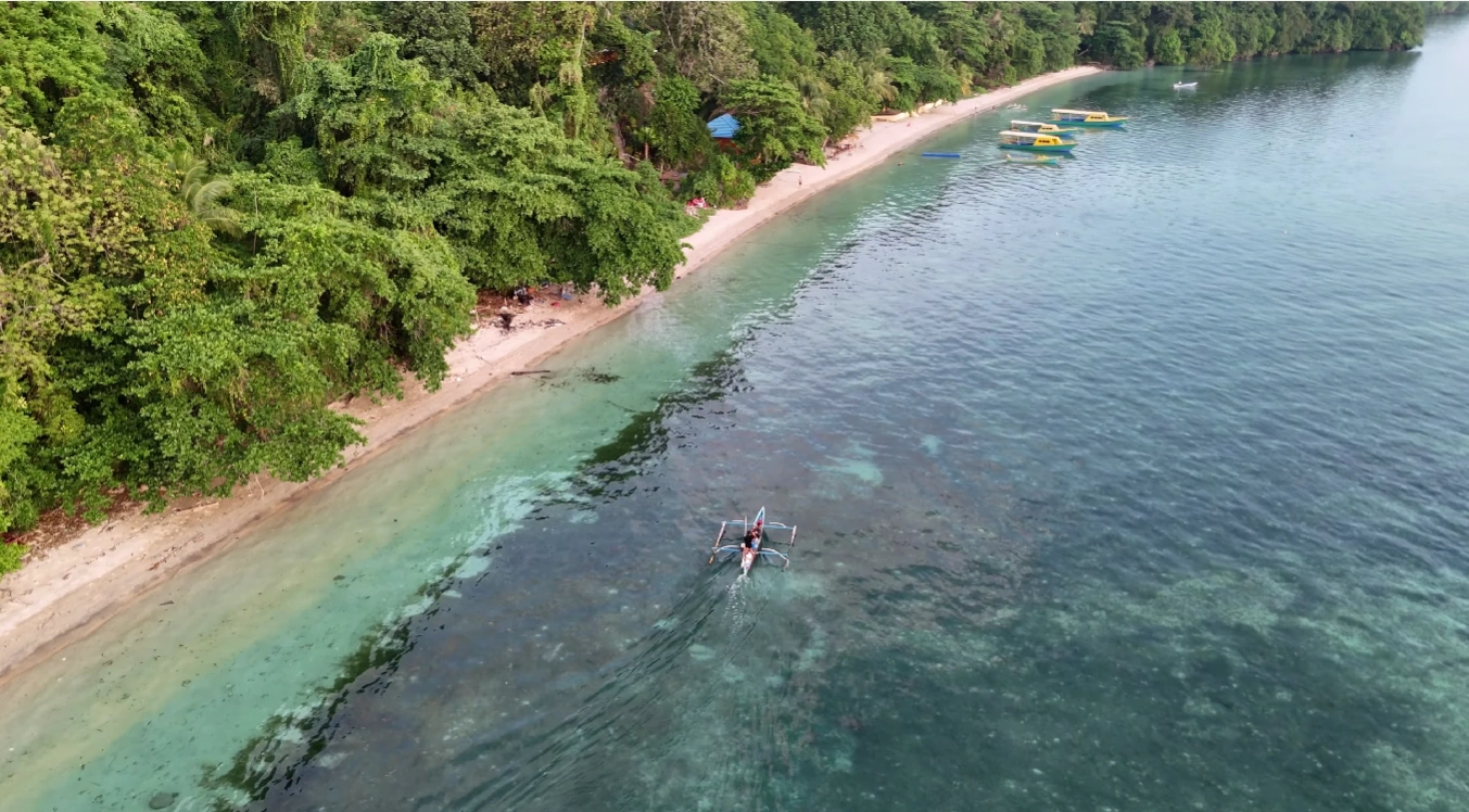 Dive & Snorkel Bunaken: Explore Wrold-Class Coral Walls
