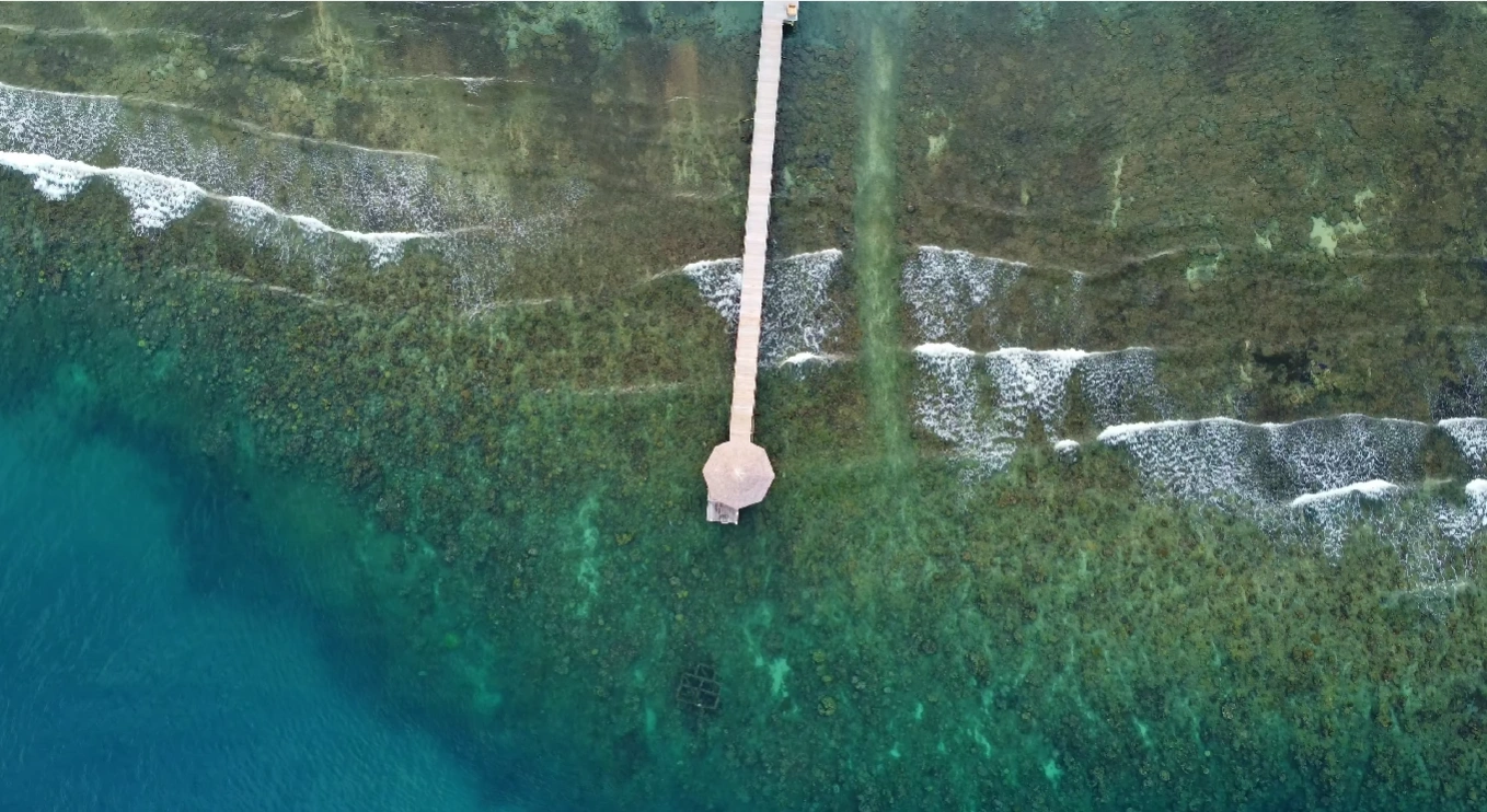 Dive & Snorkel Bunaken: Explore Wrold-Class Coral Walls