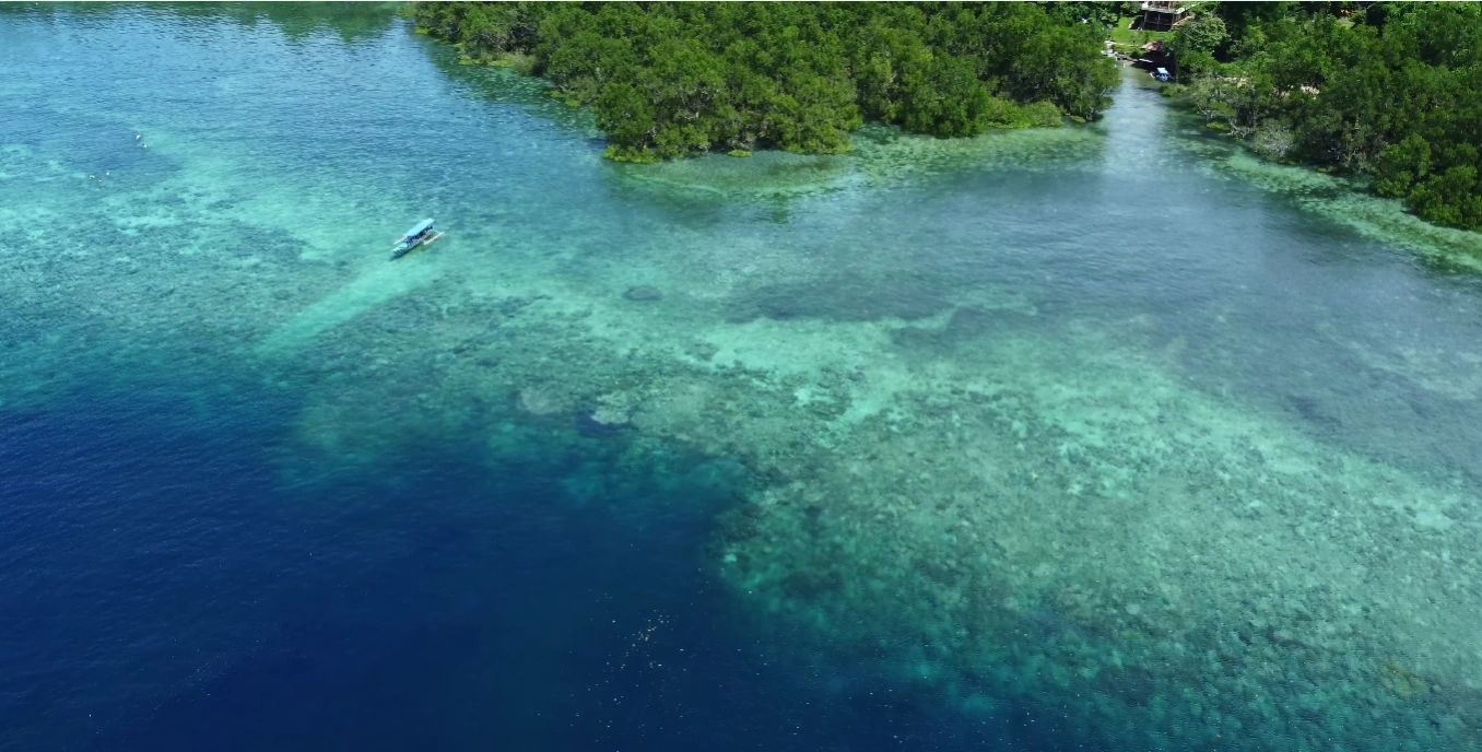Dive & Snorkel Bunaken: Explore Wrold-Class Coral Walls