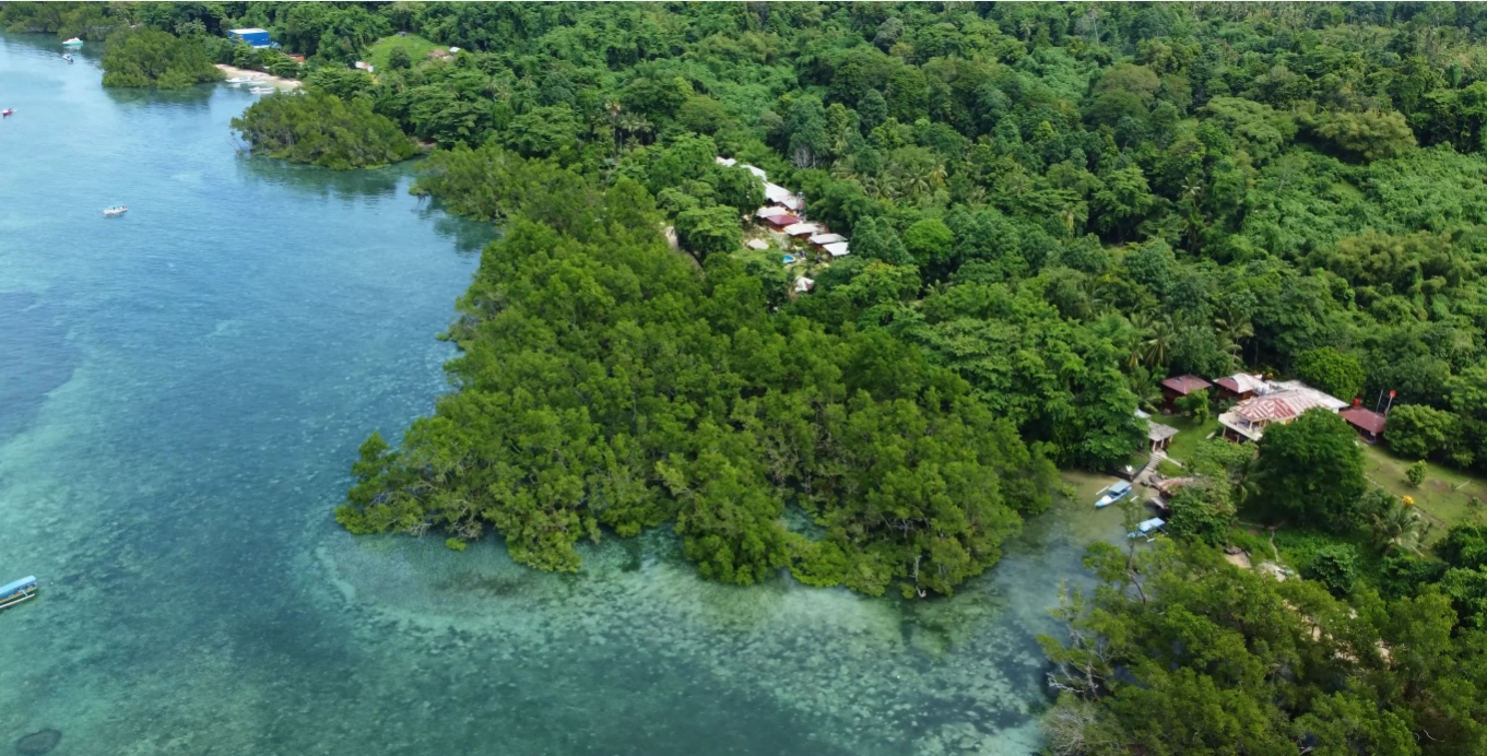 Dive & Snorkel Bunaken: Explore Wrold-Class Coral Walls