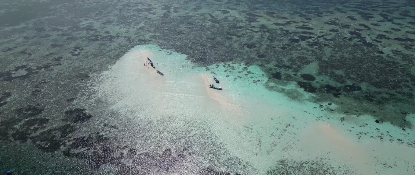 Dive & Snorkel Bunaken: Explore Wrold-Class Coral Walls