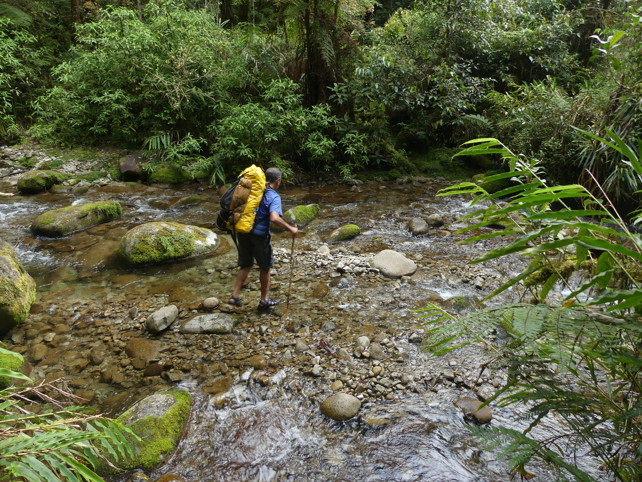 7-Day Mount Gandang Dewata Remote Peak Traverse: Expedition across South-West Sulawesi’s wild Quarles Range, ascending the 3,037m Indonesian Ribu peak.
