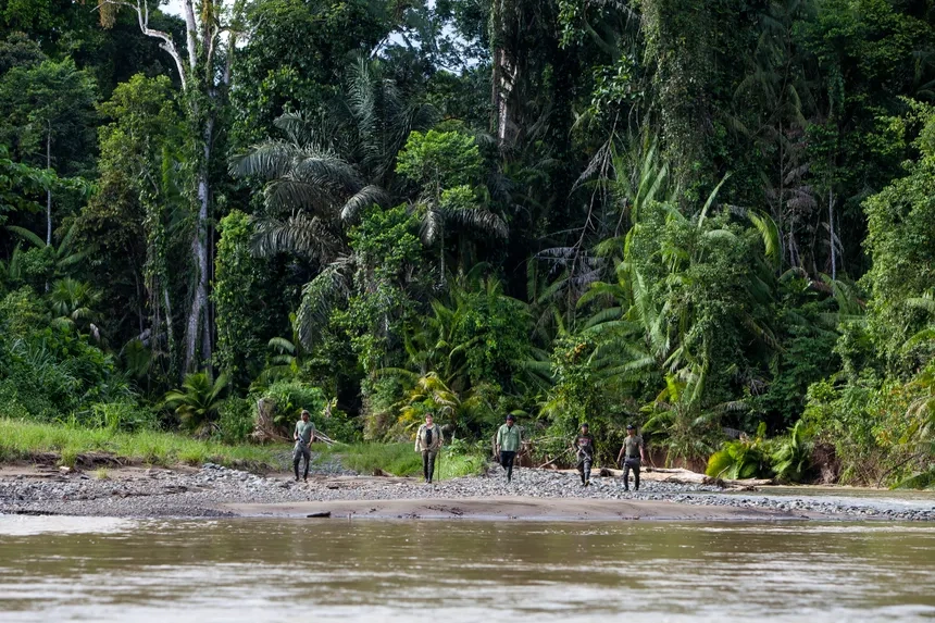 5-Day Babirusa & Nantu Forest Expedition: Deep-jungle expedition to Nantu Reserve to spot wild babirusas, anoas, and rare endemic primates.