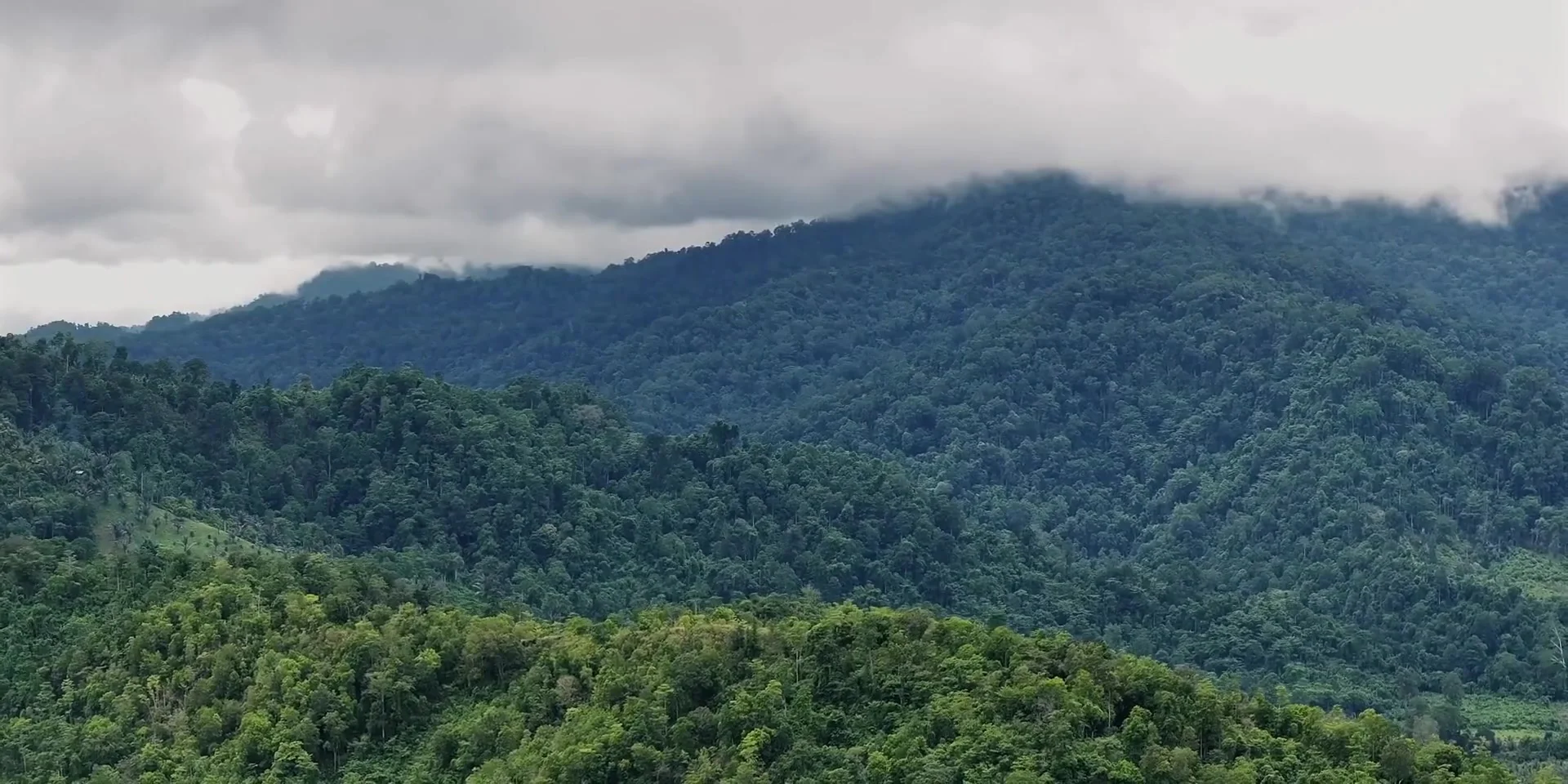 Lore Lindu Wilderness: Mysterious Megaliths & Rainforest Wildlife