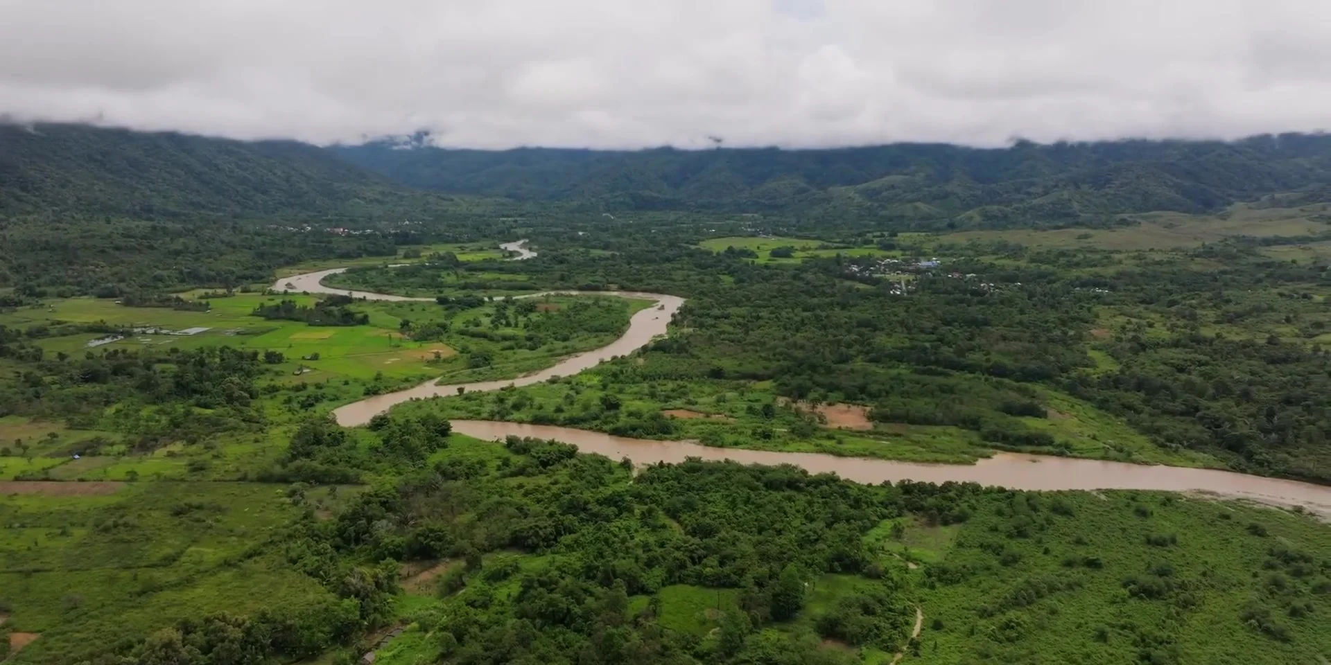 Lore Lindu Wilderness: Mysterious Megaliths & Rainforest Wildlife