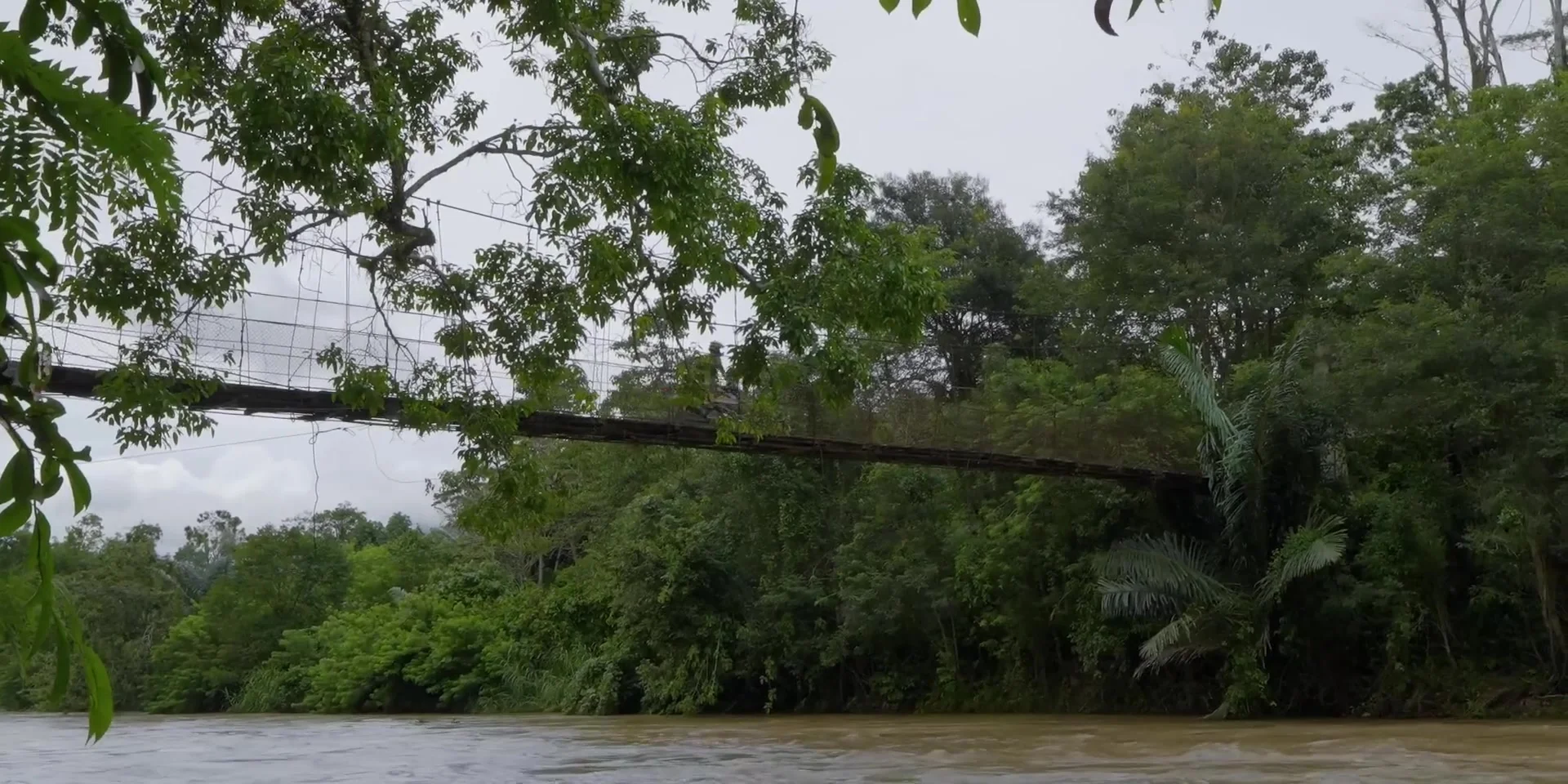 Lore Lindu Wilderness: Mysterious Megaliths & Rainforest Wildlife