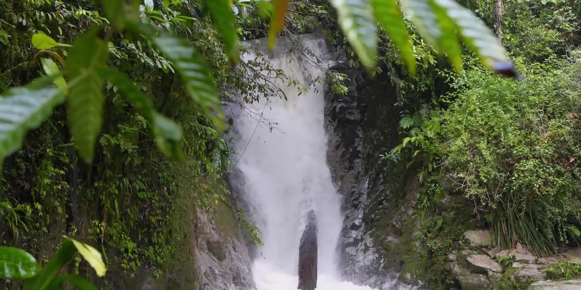 Lore Lindu Wilderness: Mysterious Megaliths & Rainforest Wildlife