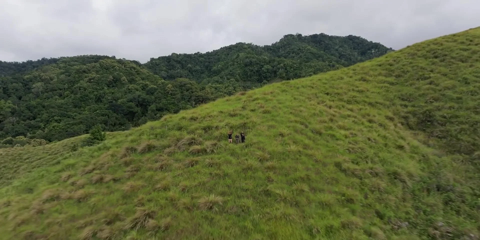 Lore Lindu Wilderness: Mysterious Megaliths & Rainforest Wildlife