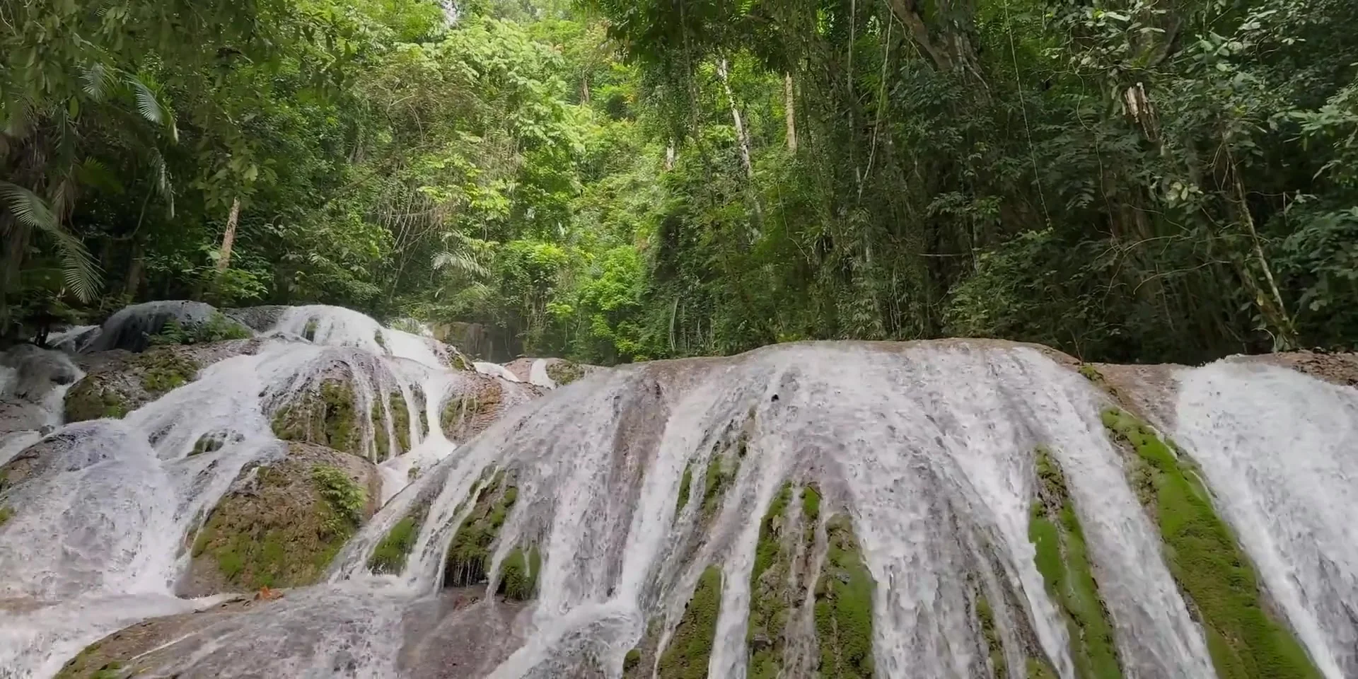 Lore Lindu Wilderness: Mysterious Megaliths & Rainforest Wildlife