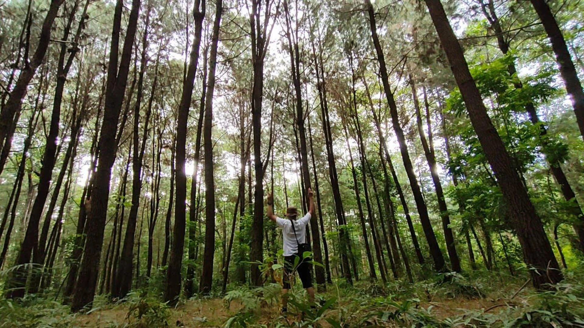Air Terjun Tersembunyi & Pengalaman Makanan Lokal yang Autentik