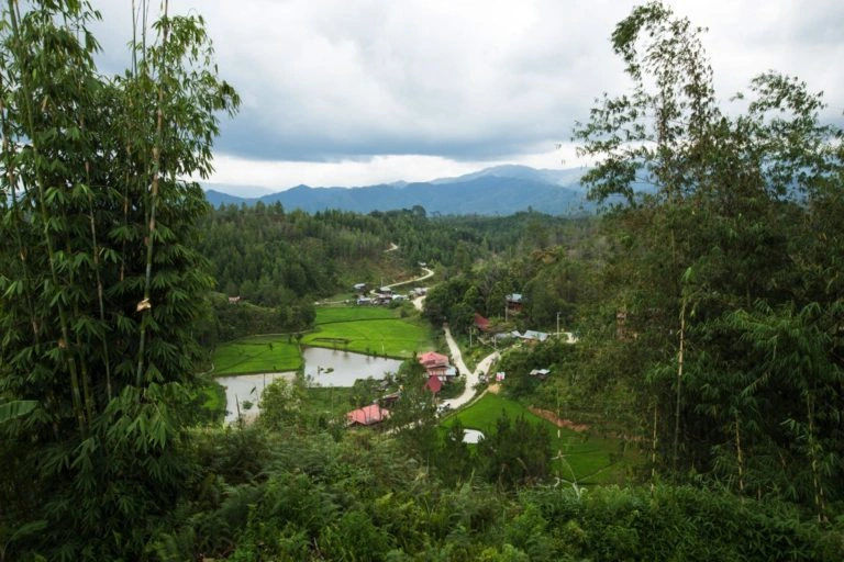 Mamasa