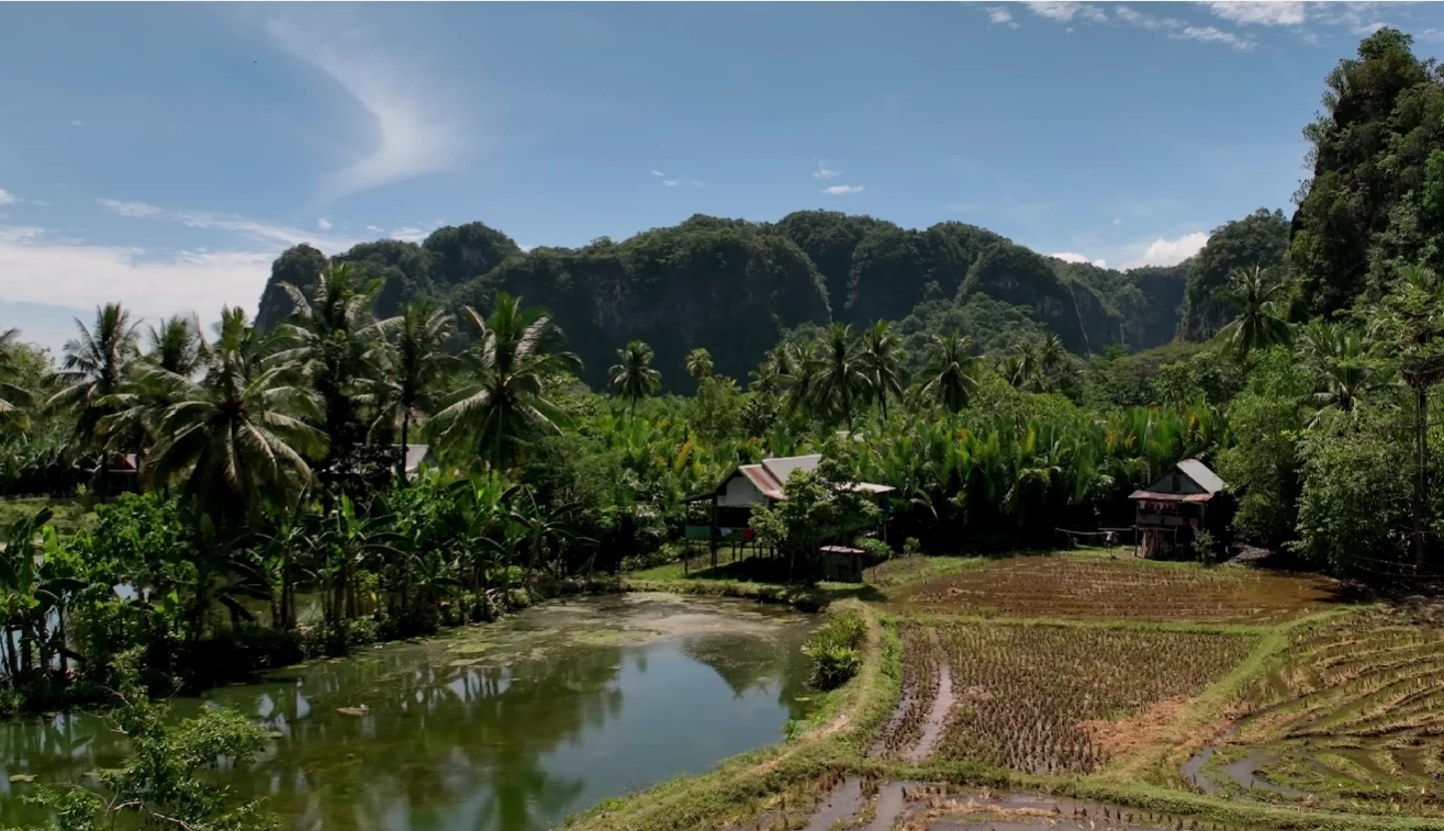 Desa Karst Rammang-Rammang: Wisata Perahu Kayu & Gua Kuno