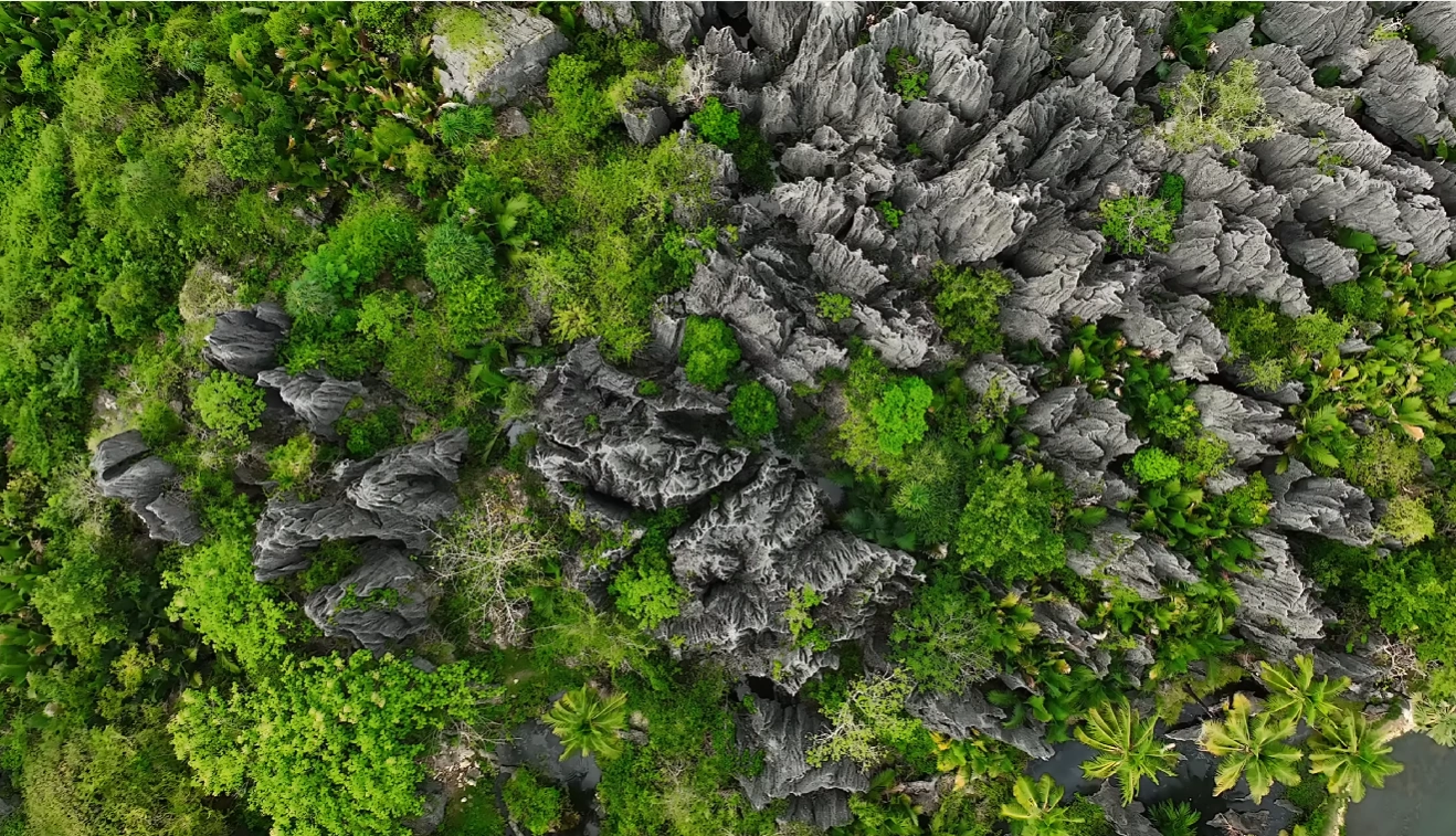 Desa Karst Rammang-Rammang: Wisata Perahu Kayu & Gua Kuno