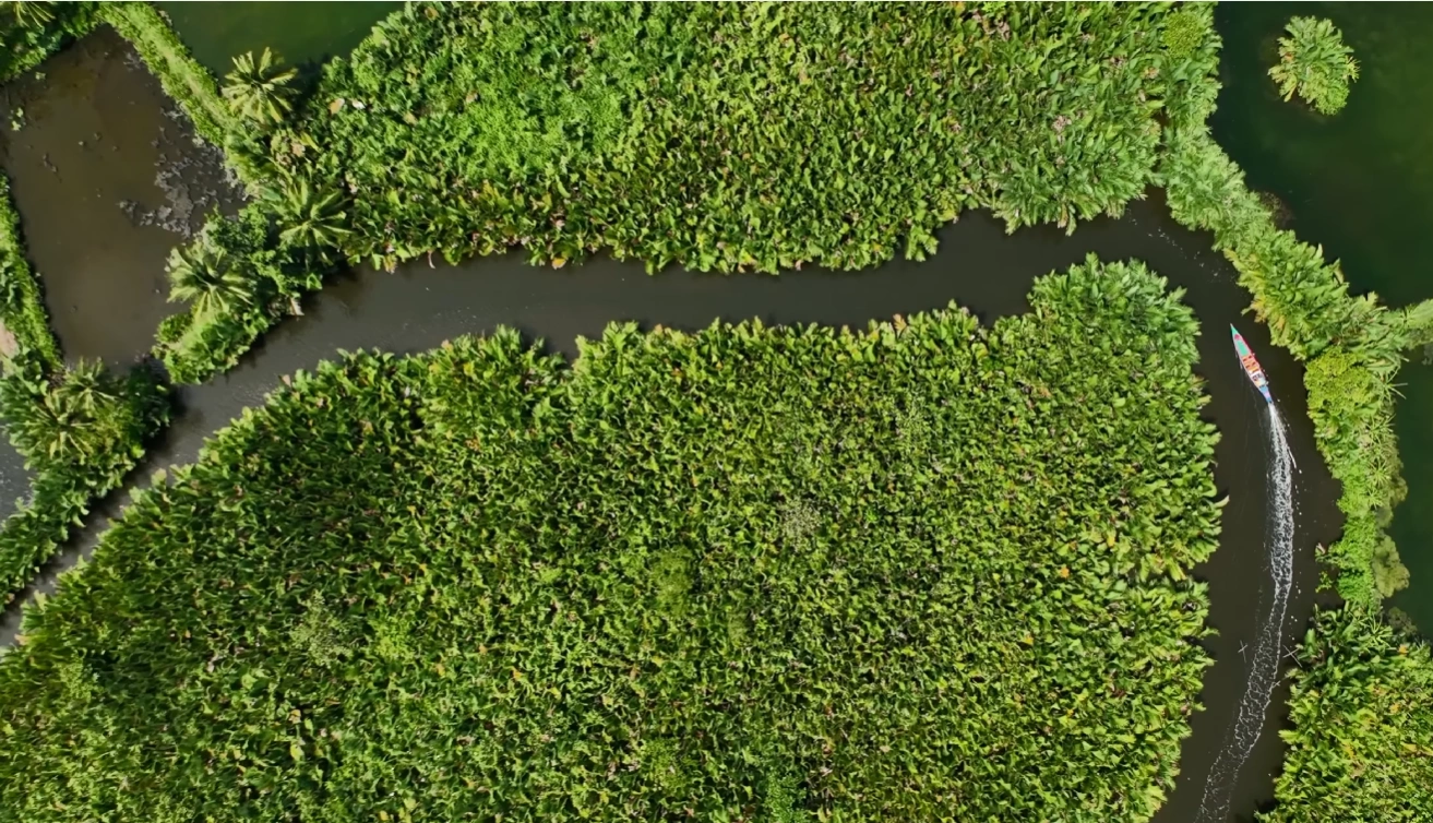 Desa Karst Rammang-Rammang: Wisata Perahu Kayu & Gua Kuno