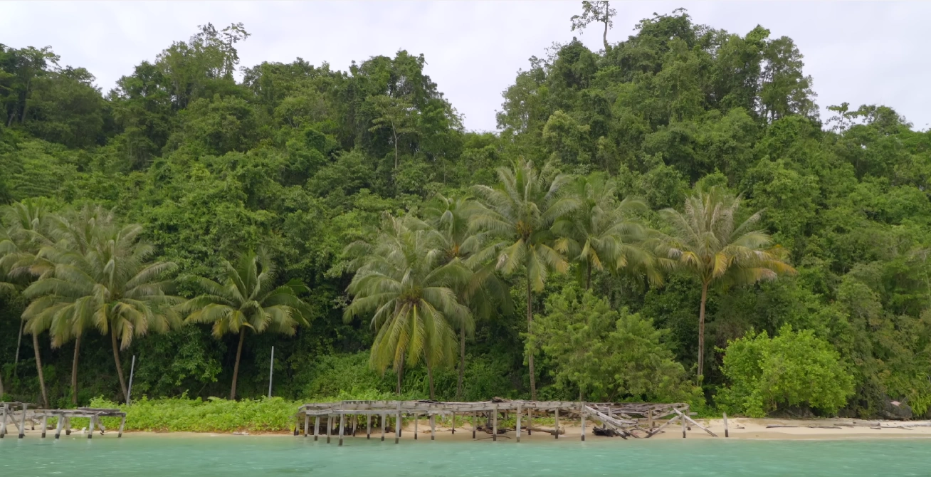 Sombori Island Hopping: Emerald Lagoons & The Raja Ampat of Sulawesi