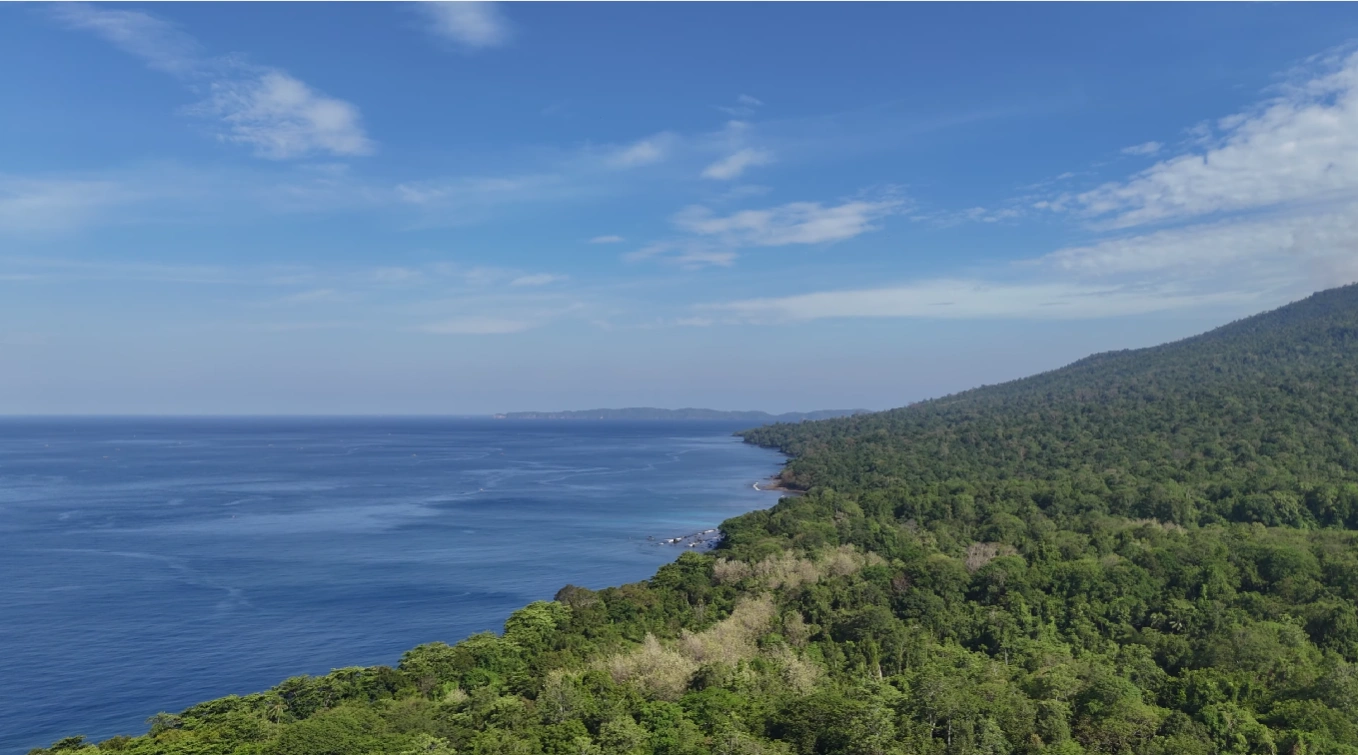 Ekspedisi Satwa Tangkoko: Tarsius, Monyet Hitam & Trek Hutan