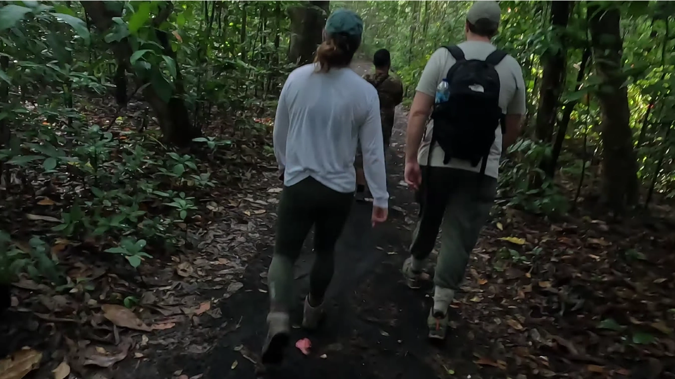 Ekspedisi Satwa Tangkoko: Tarsius, Monyet Hitam & Trek Hutan