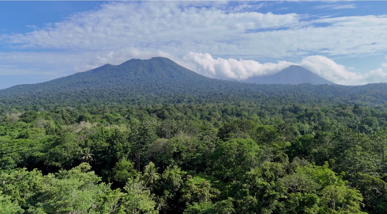 Ekspedisi Satwa Tangkoko: Tarsius, Monyet Hitam & Trek Hutan