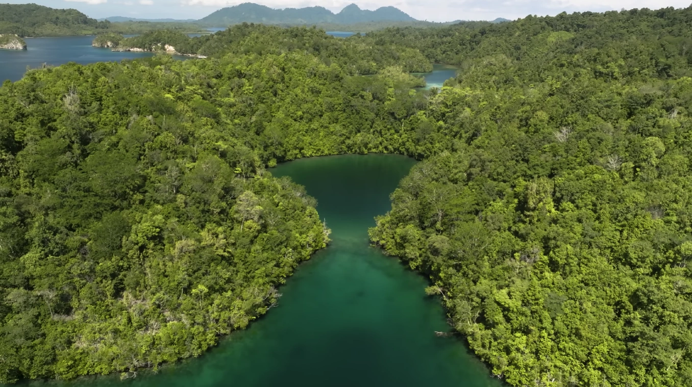 Hopping Pulau Togean: Snorkeling, Diving & Atol Tersembunyi