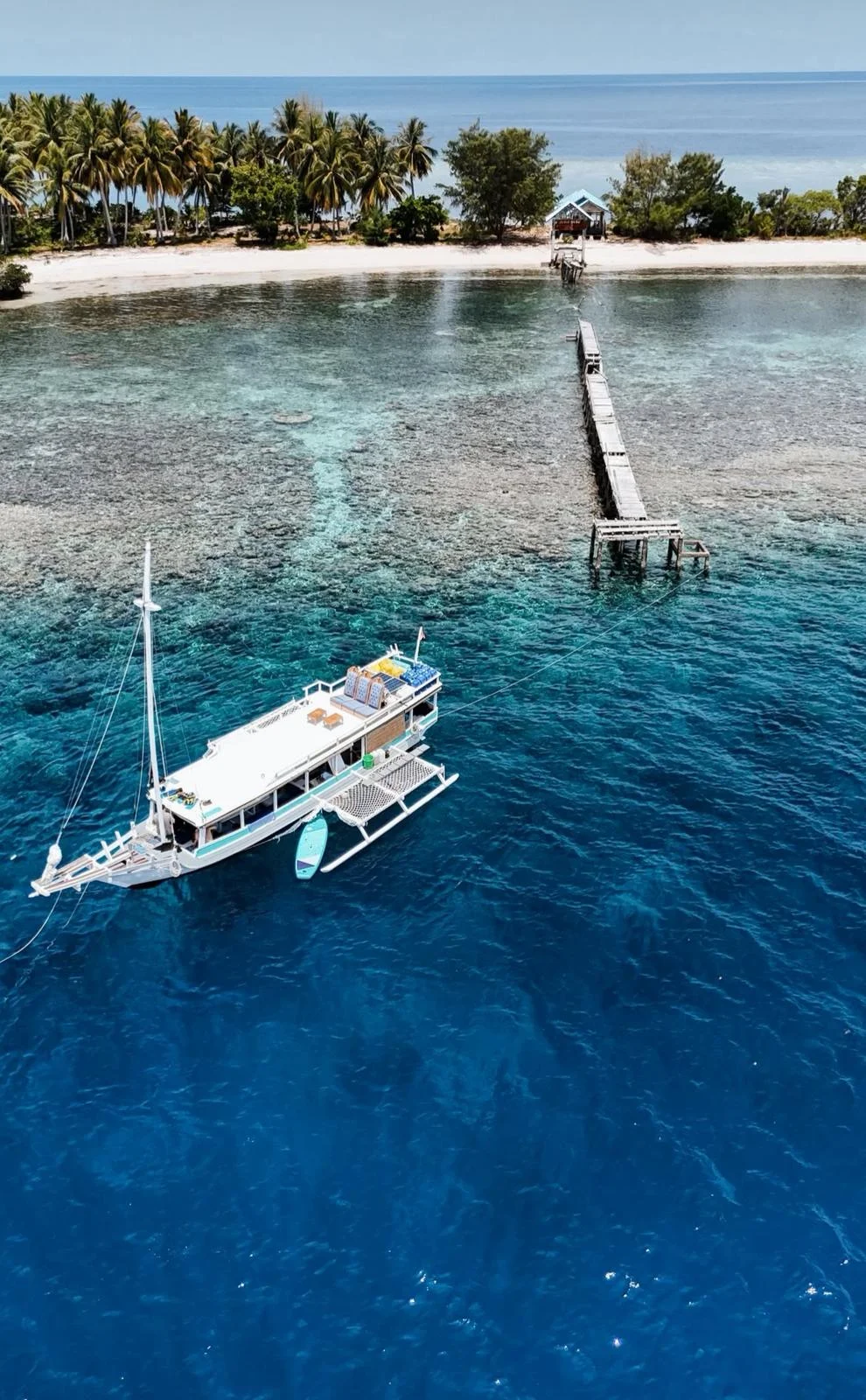 8-Day Togean Islands Cruise & Beach Hopper Adventure: Sail through Central Sulawesi’s hidden island paradise, swim with stingless jellyfish, and explore vibrant Coral Triangle reefs.