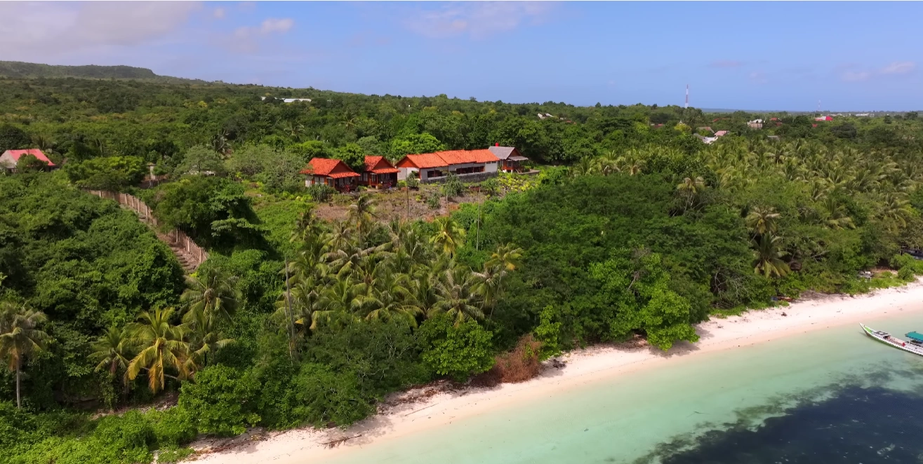 Keajaiban Laut Wakatobi: Menyelam, Snorkeling & Eksplorasi Terumbu Karang