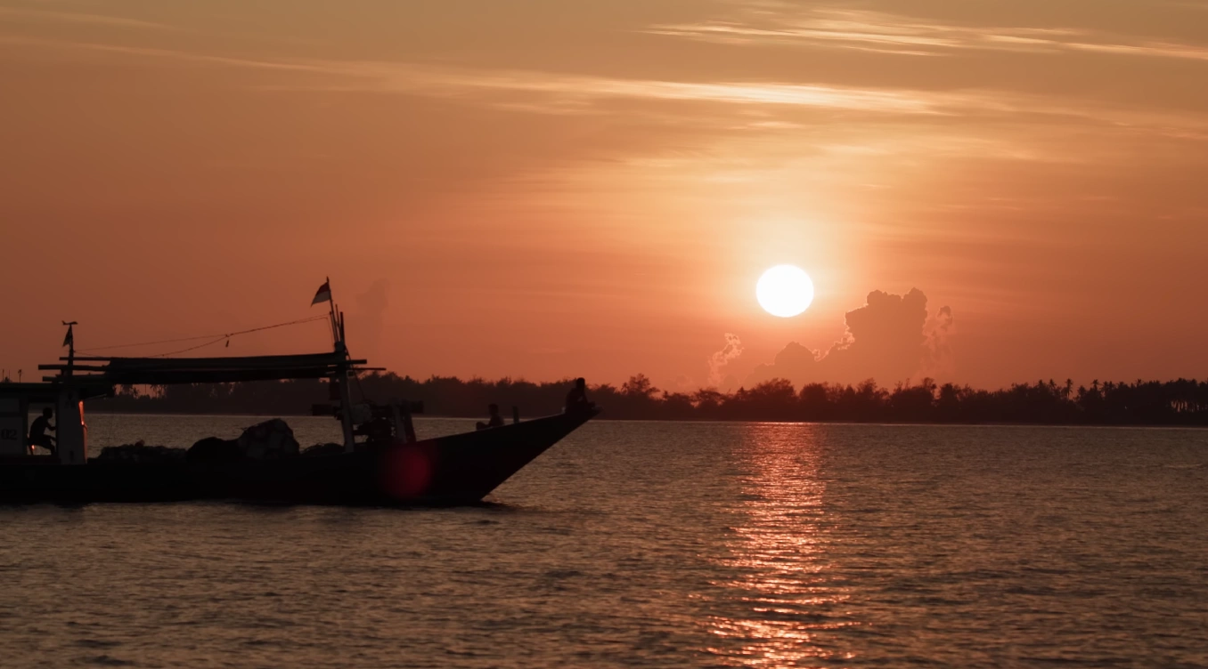 Keajaiban Laut Wakatobi: Menyelam, Snorkeling & Eksplorasi Terumbu Karang
