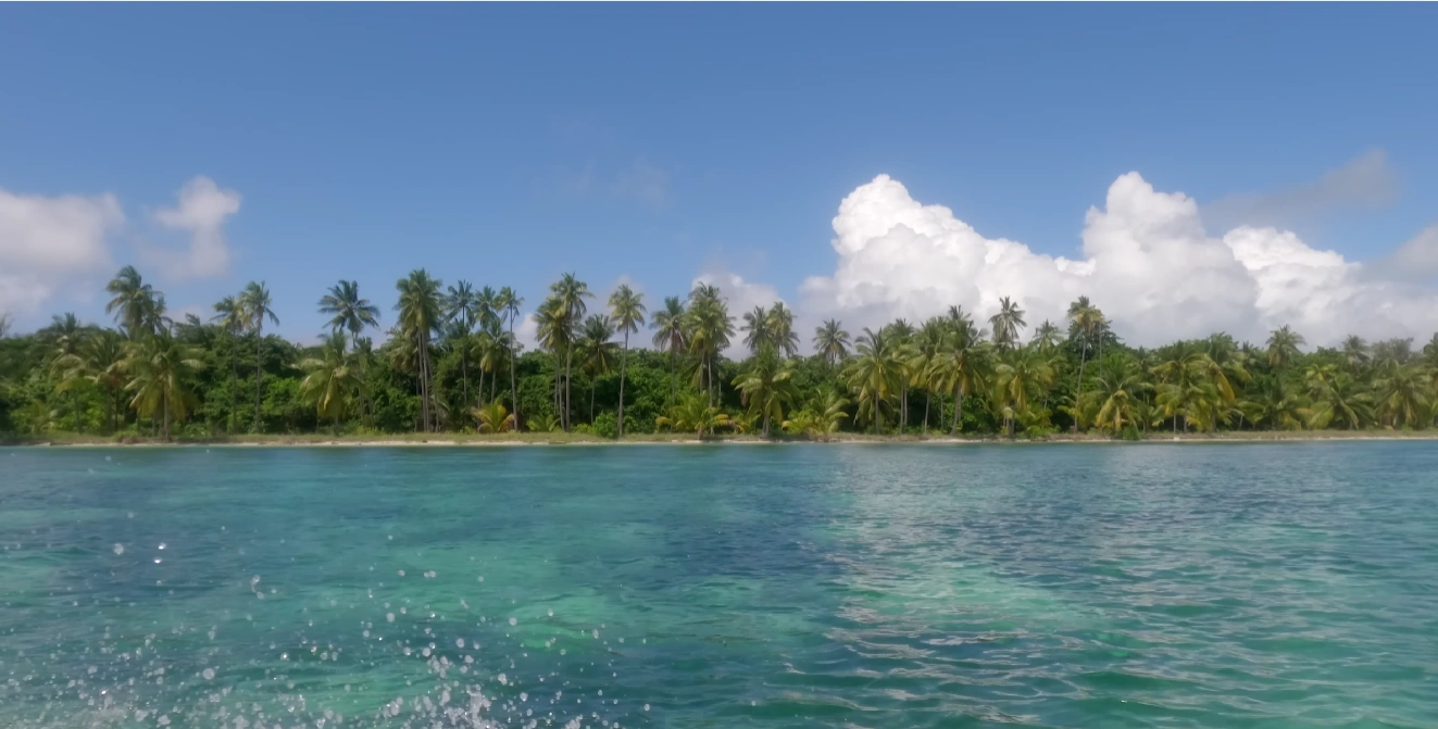Keajaiban Laut Wakatobi: Menyelam, Snorkeling & Eksplorasi Terumbu Karang