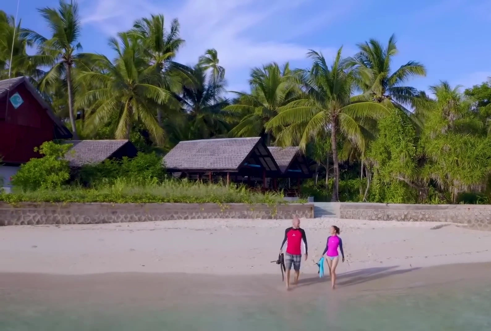 Keajaiban Laut Wakatobi: Menyelam, Snorkeling & Eksplorasi Terumbu Karang
