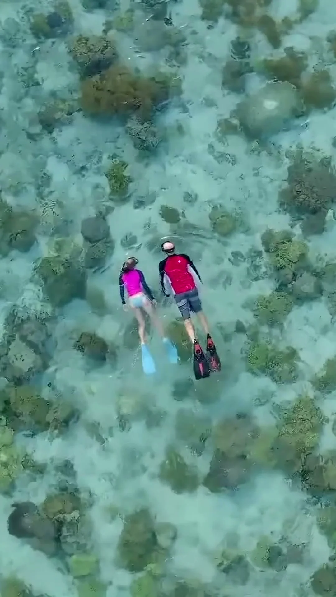 Keajaiban Laut Wakatobi: Menyelam, Snorkeling & Eksplorasi Terumbu Karang