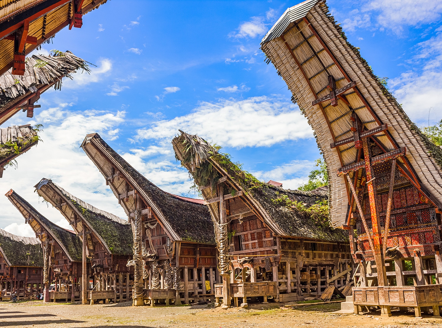 Tana Toraja